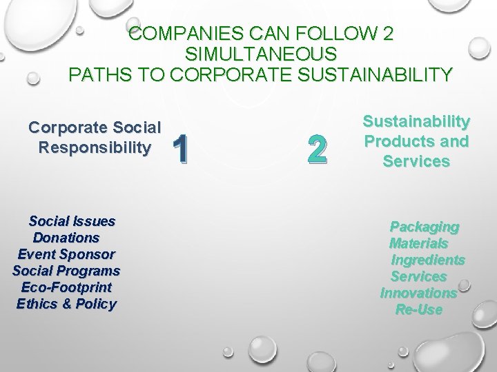 COMPANIES CAN FOLLOW 2 SIMULTANEOUS PATHS TO CORPORATE SUSTAINABILITY Corporate Social Responsibility Social Issues