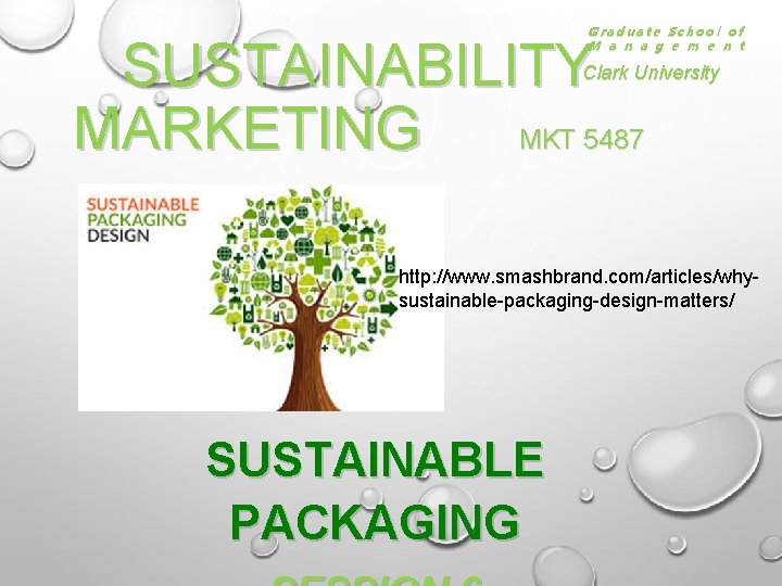 Graduate School of M a n a g e m e n t SUSTAINABILITY