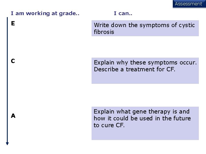 Assessment I am working at grade. . I can. . E Remember and use