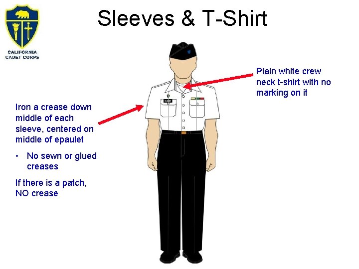 Sleeves & T-Shirt Plain white crew neck t-shirt with no marking on it Iron Sleeves & T-Shirt Plain white crew neck t-shirt with no marking on it Iron