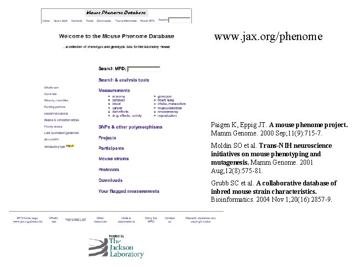 www. jax. org/phenome Paigen K, Eppig JT. A mouse phenome project. Mamm Genome. 2000 www. jax. org/phenome Paigen K, Eppig JT. A mouse phenome project. Mamm Genome. 2000