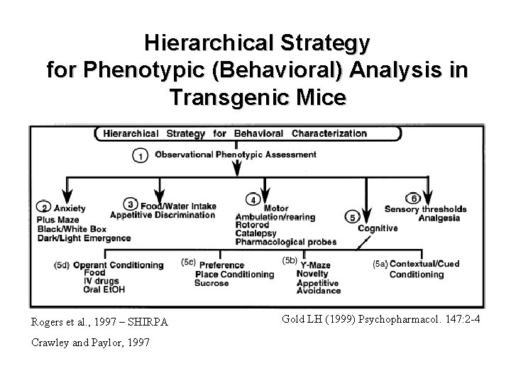 Hierarchical Strategy for Phenotypic (Behavioral) Analysis in Transgenic Mice Rogers et al. , 1997