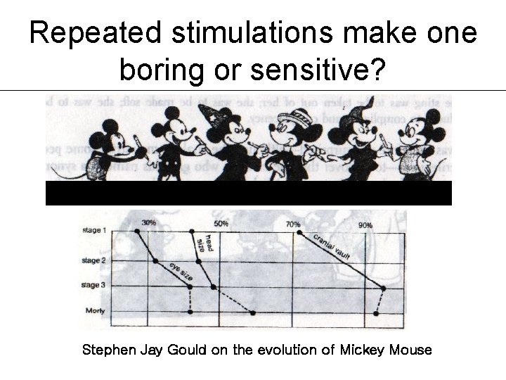 Repeated stimulations make one boring or sensitive? Stephen Jay Gould on the evolution of