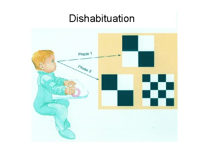 Dishabituation Dishabituation