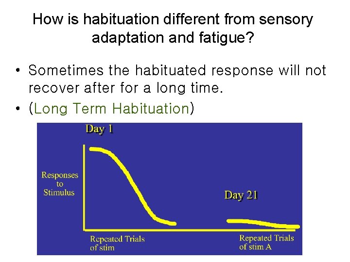 How is habituation different from sensory adaptation and fatigue? • Sometimes the habituated response