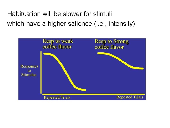 Habituation will be slower for stimuli which have a higher salience (i. e. ,