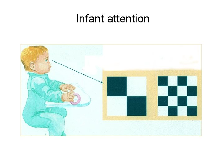 Infant attention Infant attention