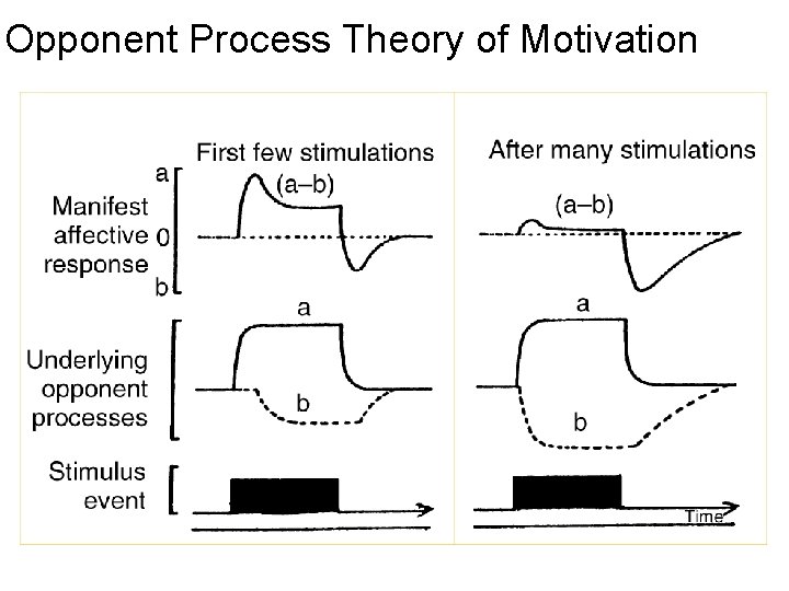 Opponent Process Theory of Motivation Opponent Process Theory of Motivation