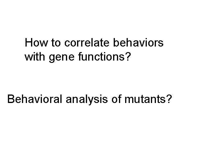 How to correlate behaviors with gene functions? Behavioral analysis of mutants? How to correlate behaviors with gene functions? Behavioral analysis of mutants?