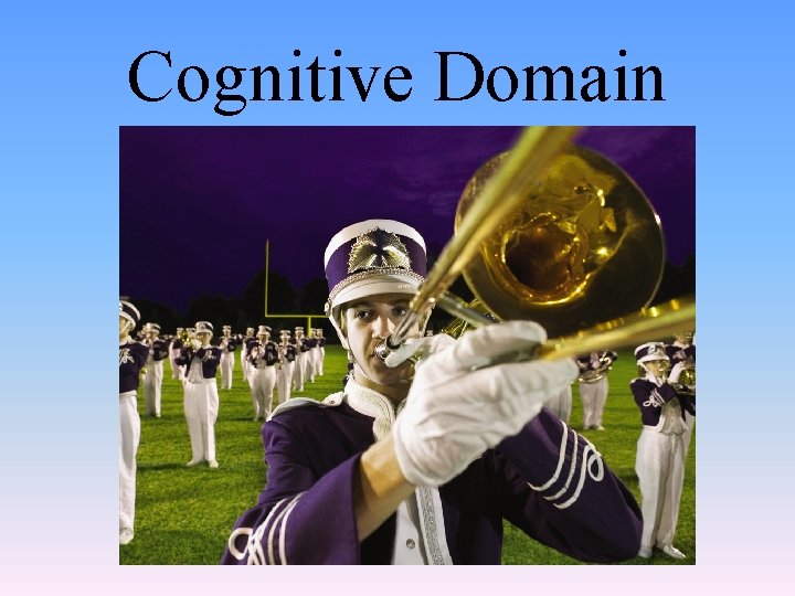 Cognitive Domain 