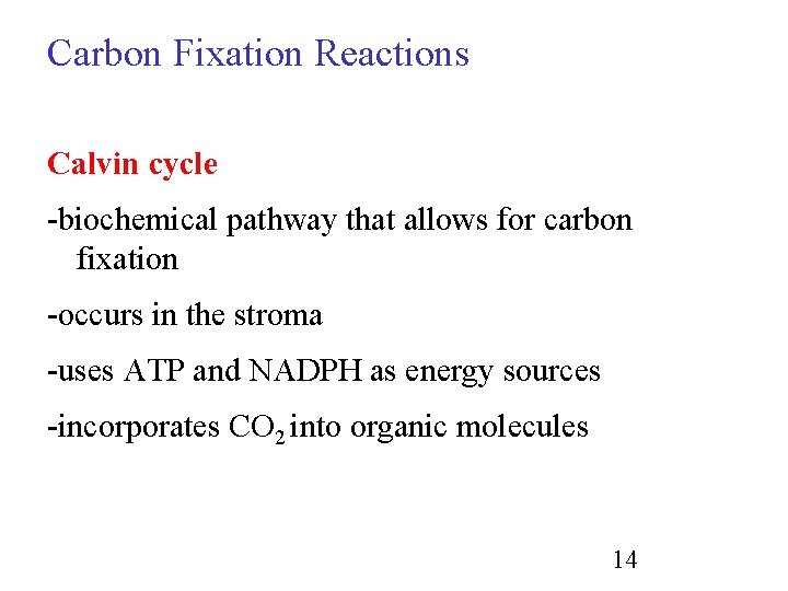 Carbon Fixation Reactions Calvin cycle -biochemical pathway that allows for carbon fixation -occurs in