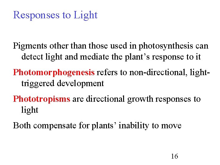 Responses to Light Pigments other than those used in photosynthesis can detect light and