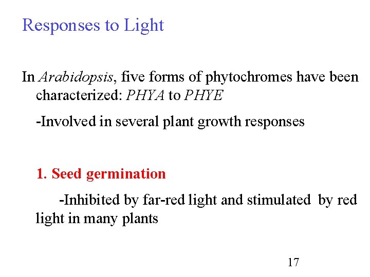 Responses to Light In Arabidopsis, five forms of phytochromes have been characterized: PHYA to