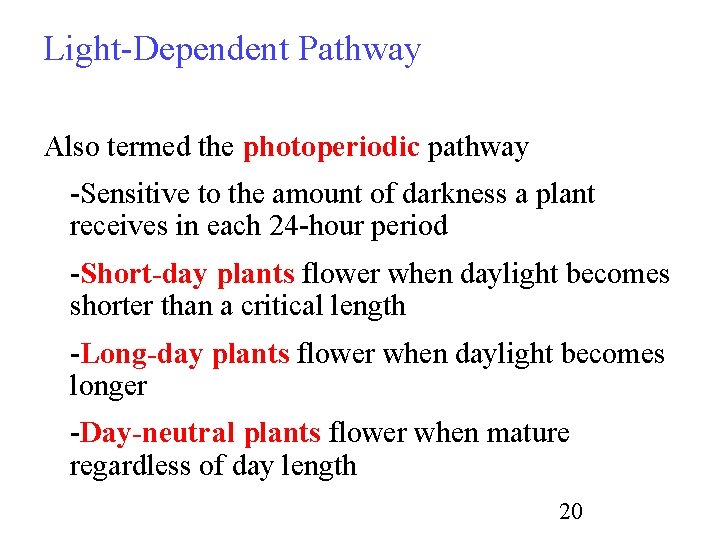 Light-Dependent Pathway Also termed the photoperiodic pathway -Sensitive to the amount of darkness a