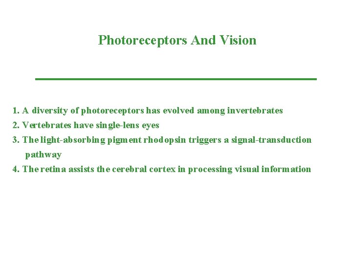 Photoreceptors And Vision 1. A diversity of photoreceptors has evolved among invertebrates 2. Vertebrates