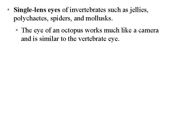  • Single-lens eyes of invertebrates such as jellies, polychaetes, spiders, and mollusks. •
