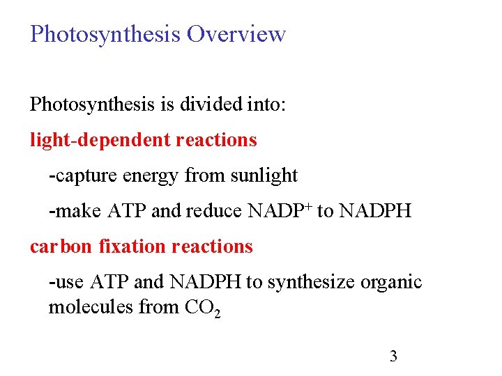 Photosynthesis Overview Photosynthesis is divided into: light-dependent reactions -capture energy from sunlight -make ATP