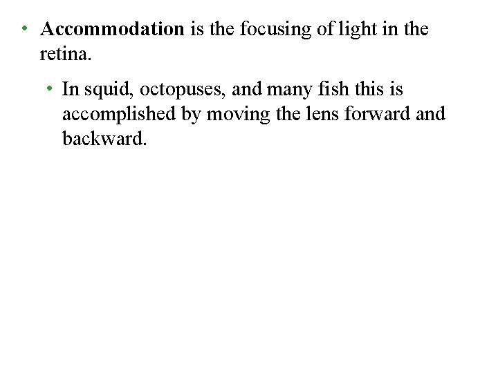  • Accommodation is the focusing of light in the retina. • In squid,