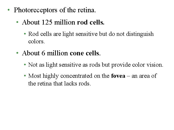  • Photoreceptors of the retina. • About 125 million rod cells. • Rod