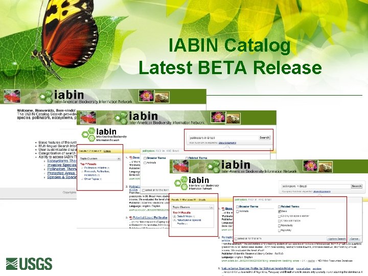 IABIN Catalog Latest BETA Release 