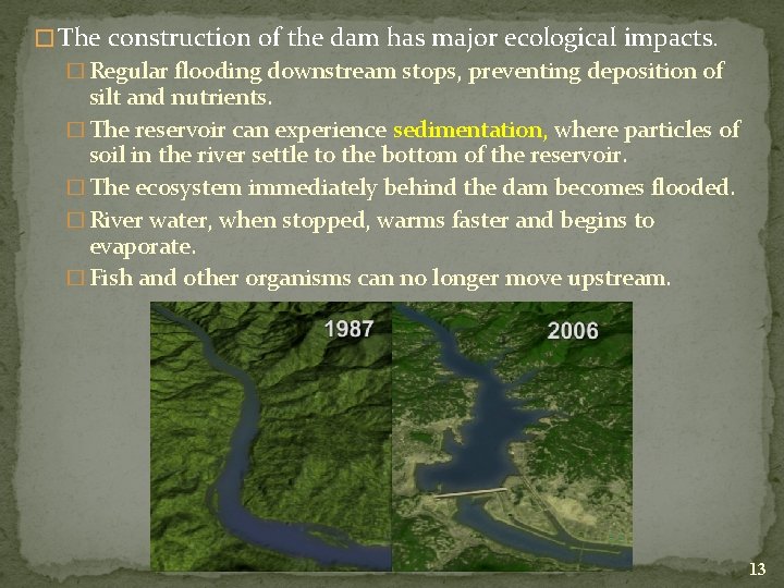� The construction of the dam has major ecological impacts. � Regular flooding downstream