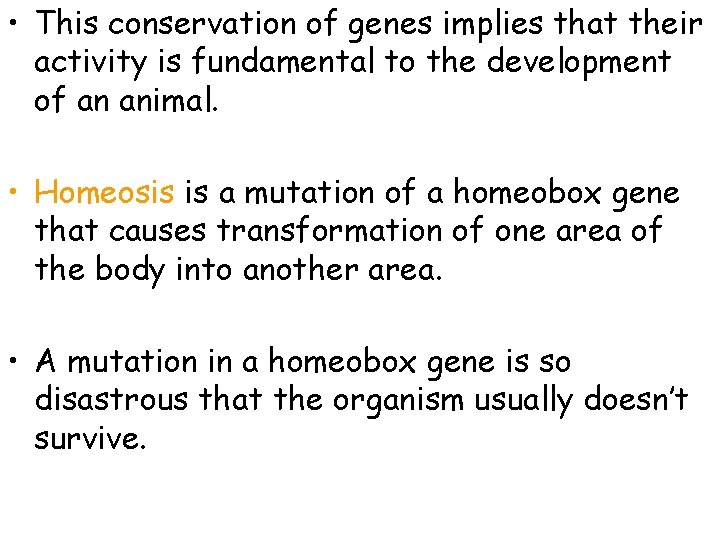  • This conservation of genes implies that their activity is fundamental to the