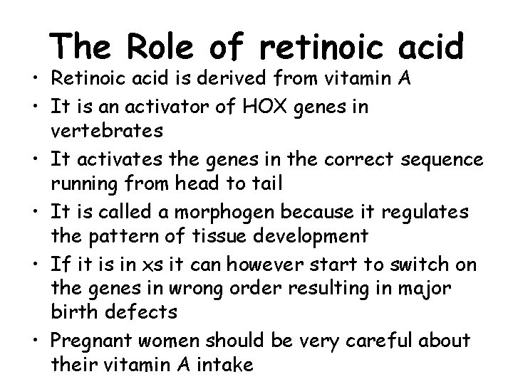 The Role of retinoic acid • Retinoic acid is derived from vitamin A •