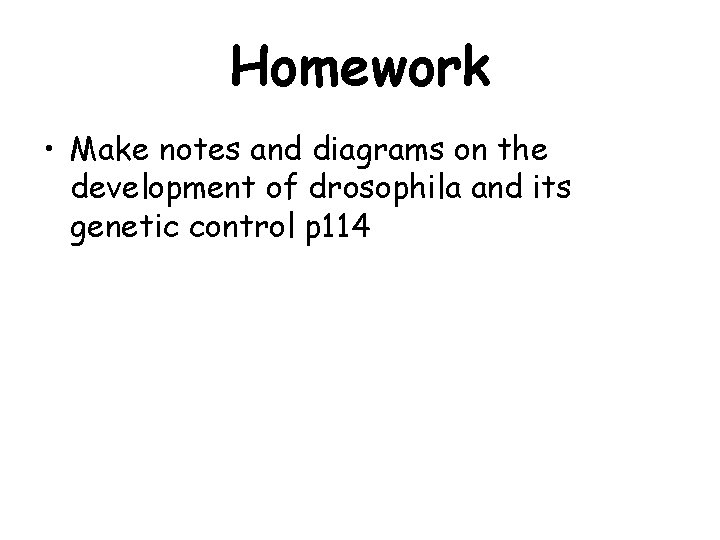 Homework • Make notes and diagrams on the development of drosophila and its genetic