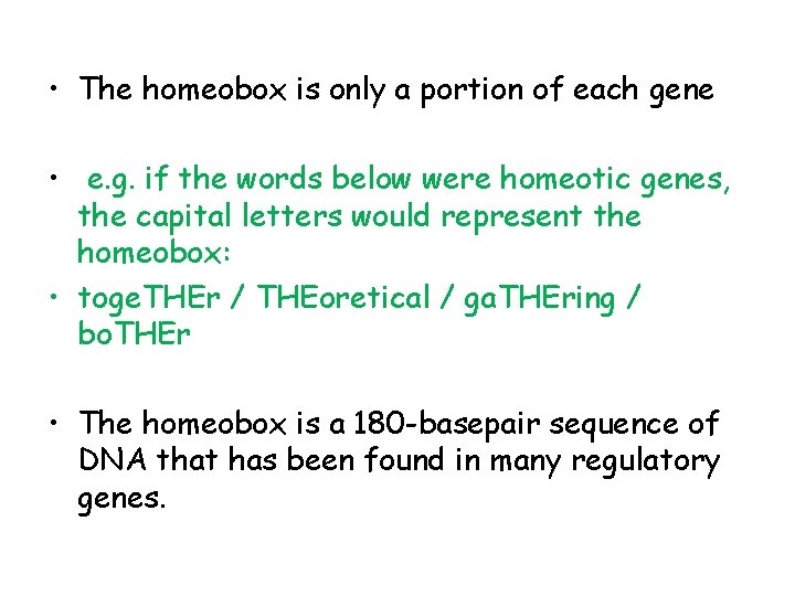  • The homeobox is only a portion of each gene • e. g.