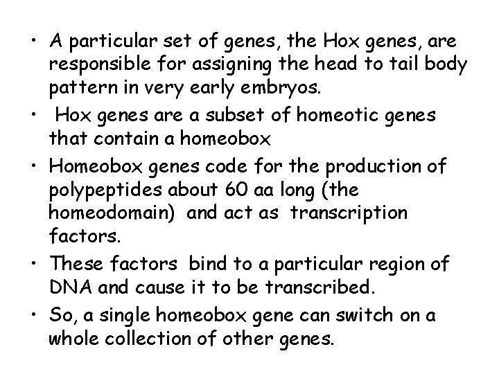  • A particular set of genes, the Hox genes, are responsible for assigning