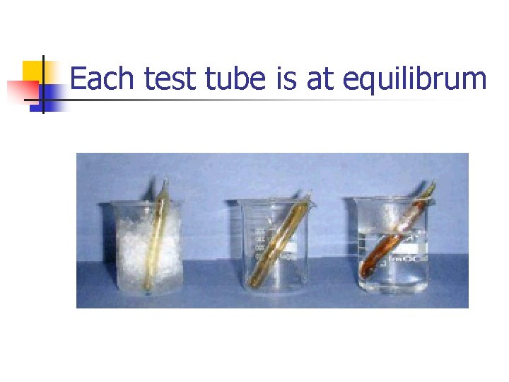 Each test tube is at equilibrum 