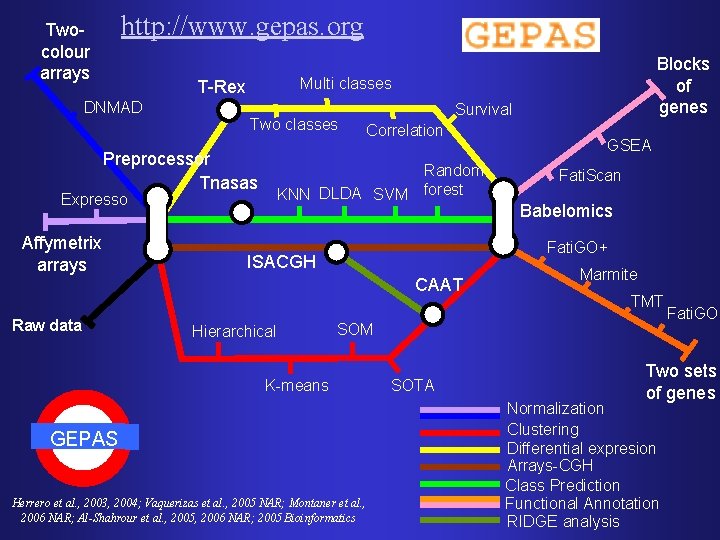 http: //www. gepas. org Twocolour arrays Multi classes T-Rex DNMAD Two classes Preprocessor Tnasas