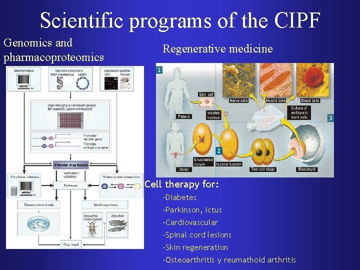 Scientific programs of the CIPF Genomics and pharmacoproteomics Regenerative medicine Cell therapy for: –Diabetes