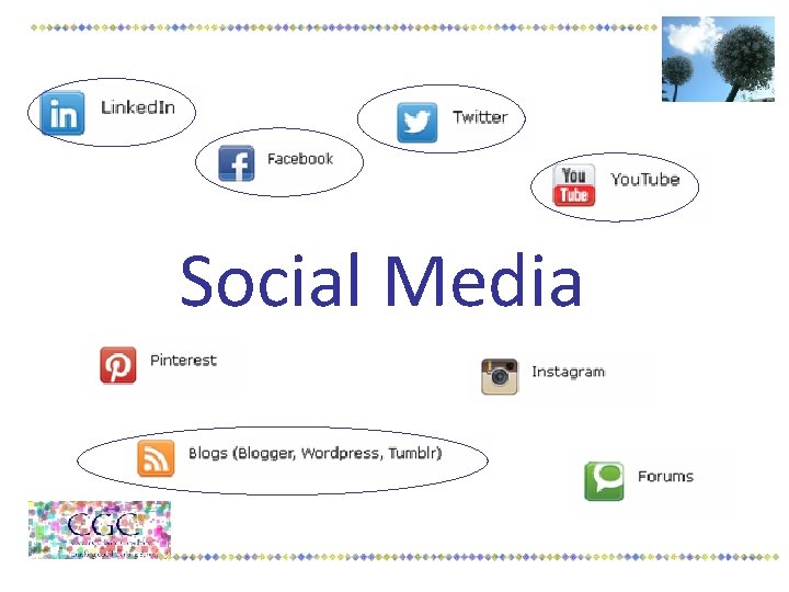 Social Media 