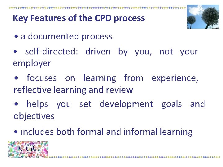 Key Features of the CPD process • a documented process • self-directed: driven by