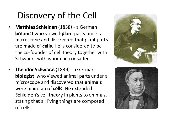 Discovery of the Cell • Matthias Schleiden (1838) - a German botanist who viewed