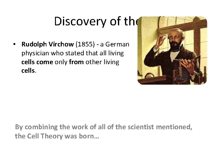 Discovery of the Cell • Rudolph Virchow (1855) - a German physician who stated