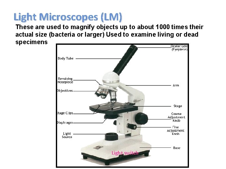 Light Microscopes (LM) These are used to magnify objects up to about 1000 times