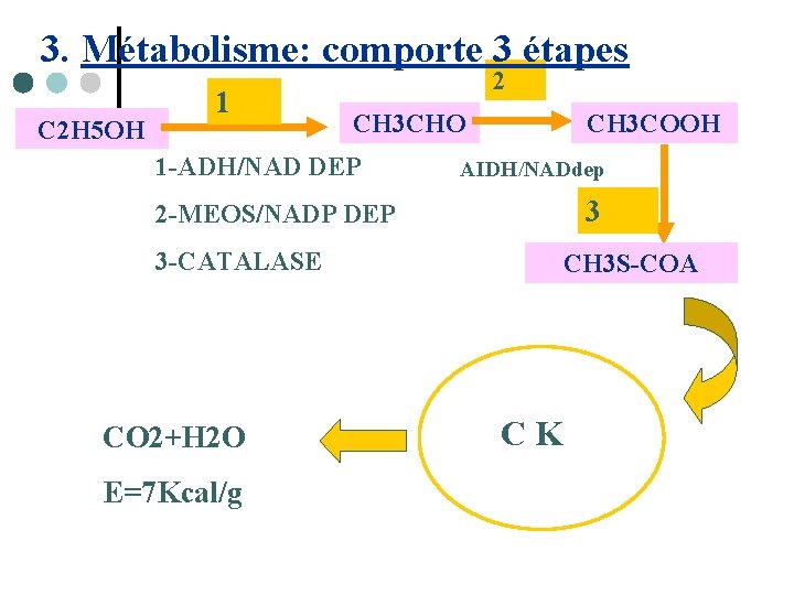 3. Métabolisme: comporte 3 étapes C 2 H 5 OH 1 2 CH 3