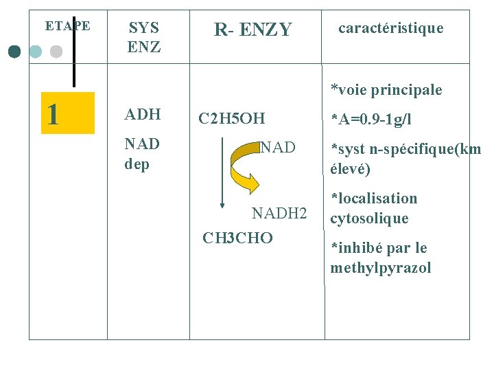 ETAPE 1 SYS ENZ R- ENZY caractéristique *voie principale ADH NAD dep C 2