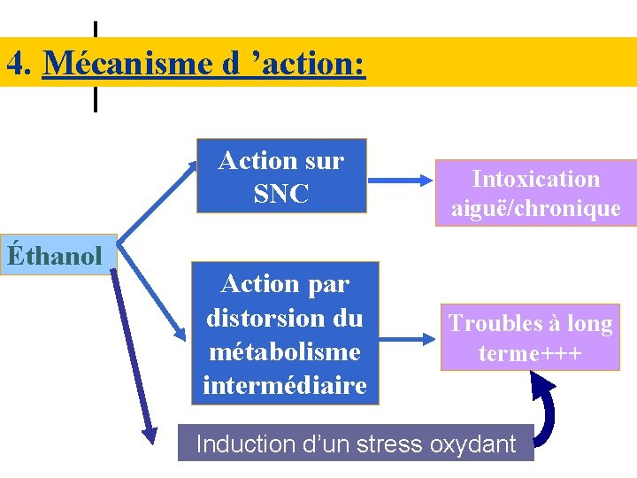 4. Mécanisme d ’action: Action sur SNC Éthanol Action par distorsion du métabolisme intermédiaire