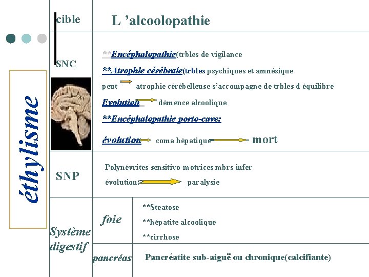 cible L ’alcoolopathie **Encéphalopathie(trbles de vigilance SNC **Atrophie cérébrale(trbles psychiques et amnésique éthylisme peut