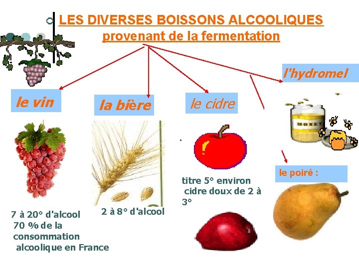 ¢ LES DIVERSES BOISSONS ALCOOLIQUES provenant de la fermentation le vin l'hydromel le cidre