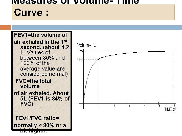Measures of Volume- Time Curve : FEV 1=the volume of air exhaled in the
