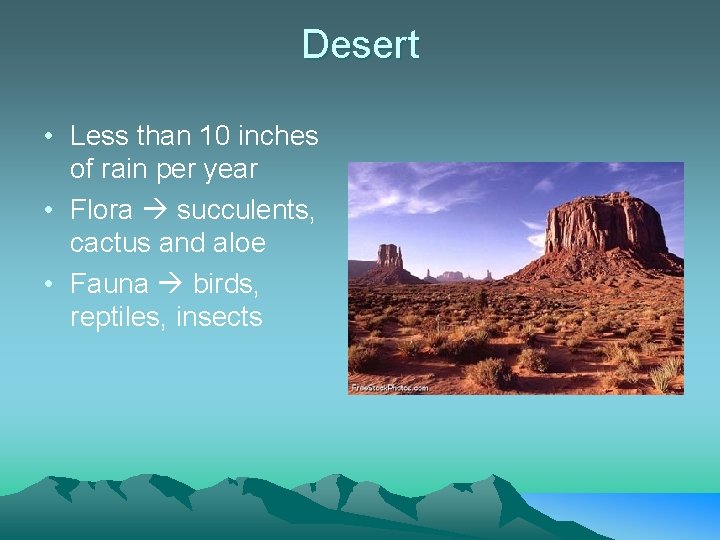 Desert • Less than 10 inches of rain per year • Flora succulents, cactus