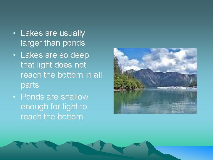  • Lakes are usually larger than ponds • Lakes are so deep that