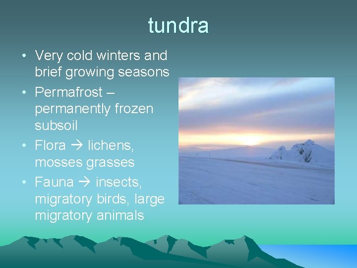 tundra • Very cold winters and brief growing seasons • Permafrost – permanently frozen