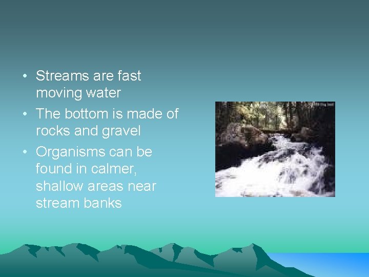  • Streams are fast moving water • The bottom is made of rocks