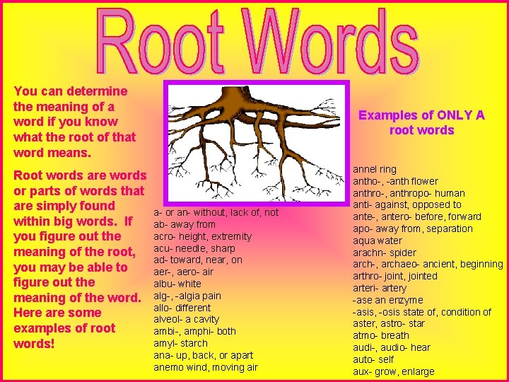 You can determine the meaning of a word if you know what the root