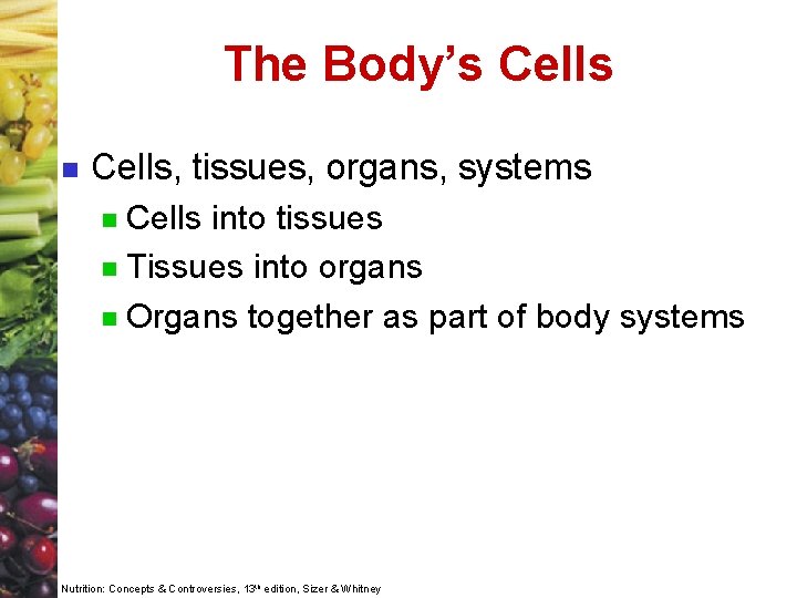 The Body’s Cells n Cells, tissues, organs, systems Cells into tissues n Tissues into